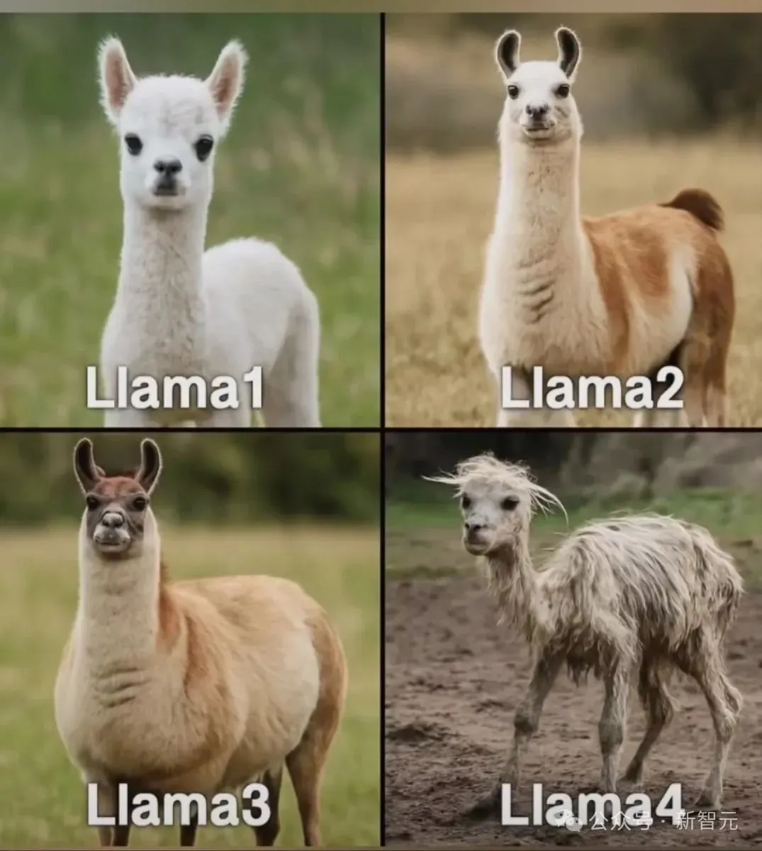 Llama 4 爆料大反转,没在测试集上训练!华人员工实名辟谣,LeCun 出面救火