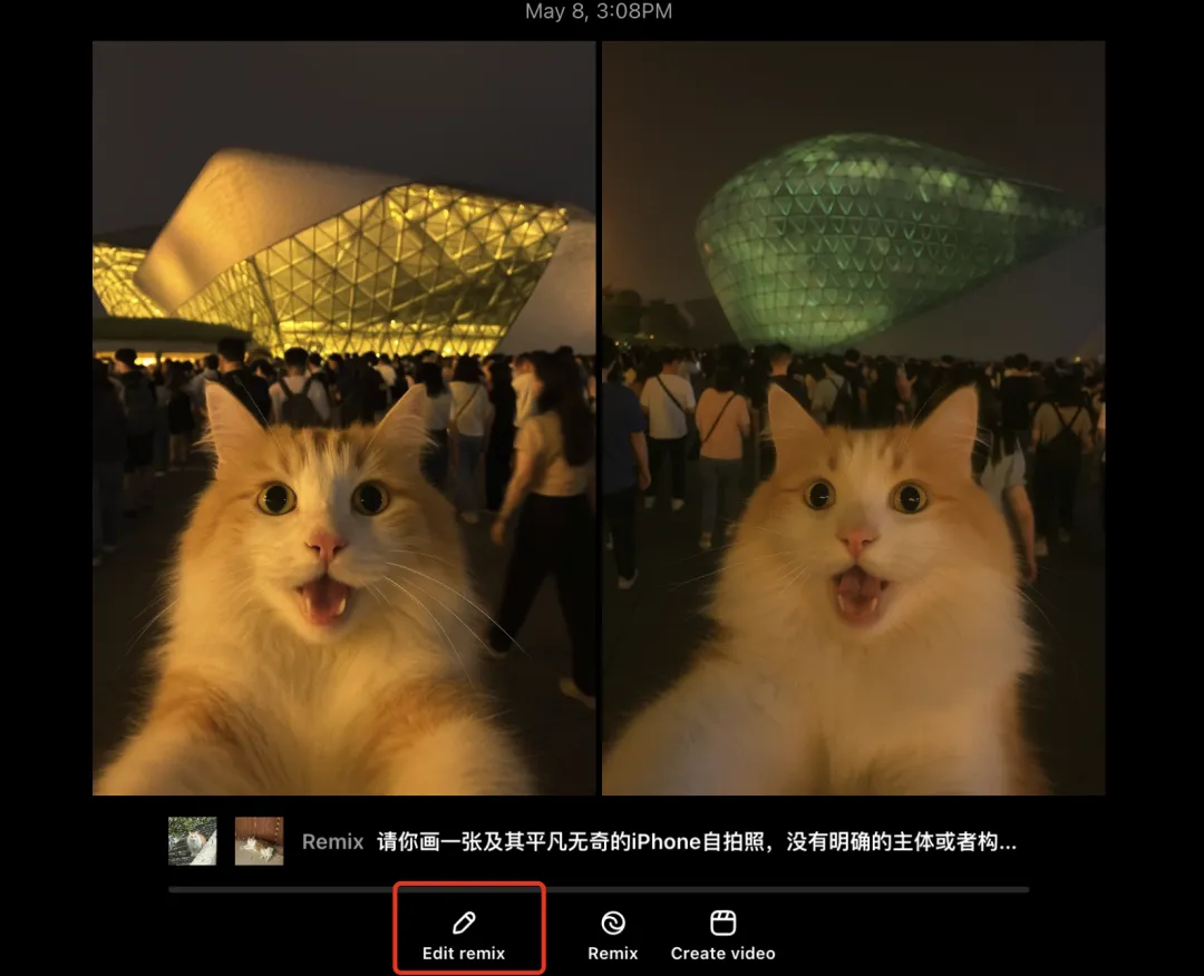 五一的流量密码,他吃上了!一条AI猫咪旅游视频